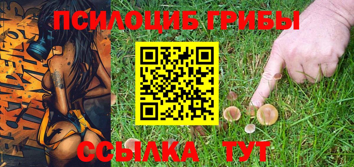 Галлюциногенные грибы ЛСД Калуга